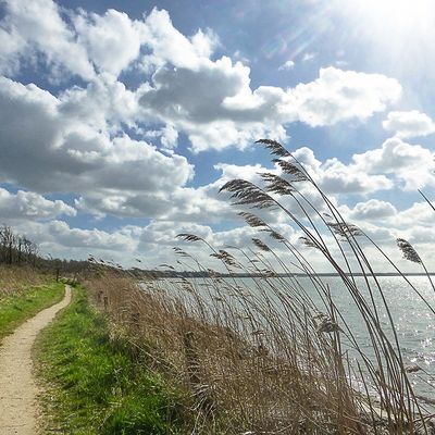 Geltinger Birk, Weg an der Küste entlang