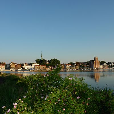 Die Kappelner Skyline